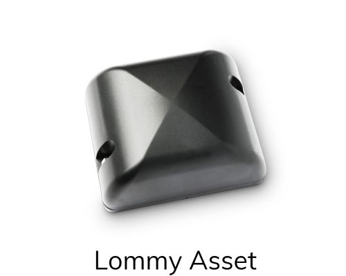 Lommy Asset